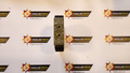 Pilz S1SW P 24-240VACDC Um 0-690VAC/Dc 407710
